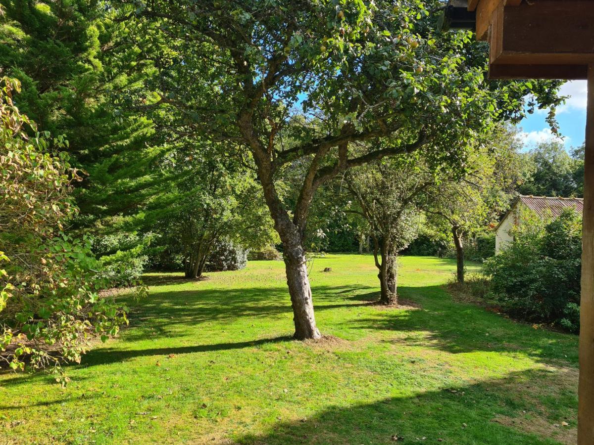 The Reading Whole Chalet With Lake And Two Acre Gardens Екстериор снимка